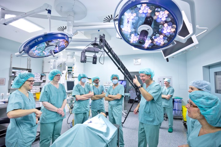 In grün sind alle&nbsp;gleich